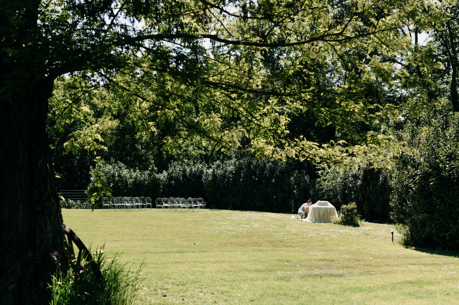Sonniger Garten der Villa Fuchs unter großen alten Bäumen
