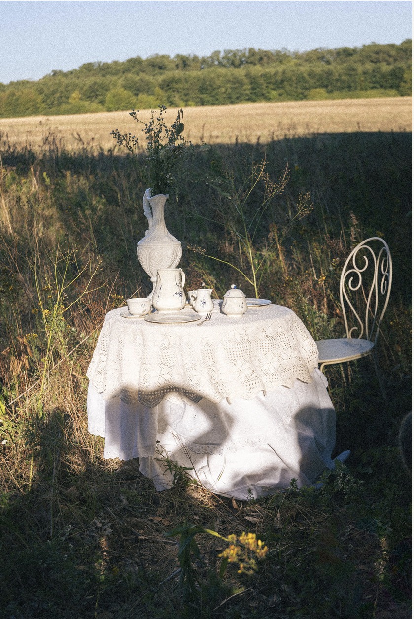 Ein kleiner Tisch mit weißem Geschirr und Blumen im Feld