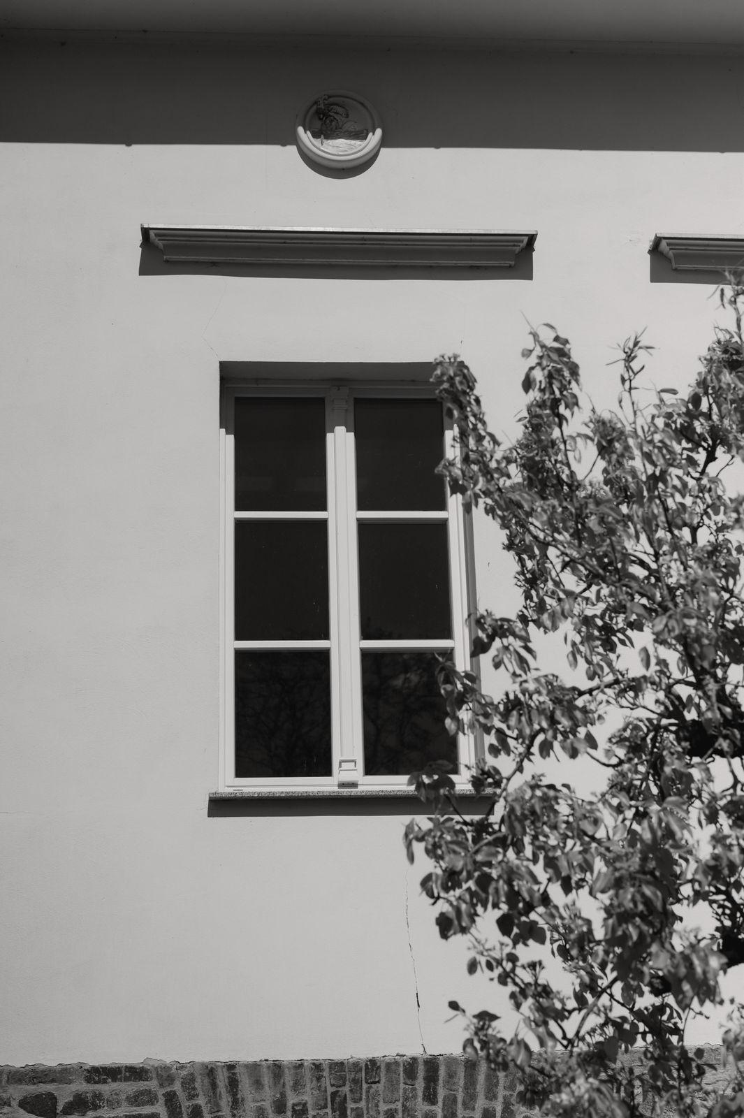 Schwarz-Weiß-Aufnahme eines Sprossenfensters an der sonnenbeschienenen Hausfassade